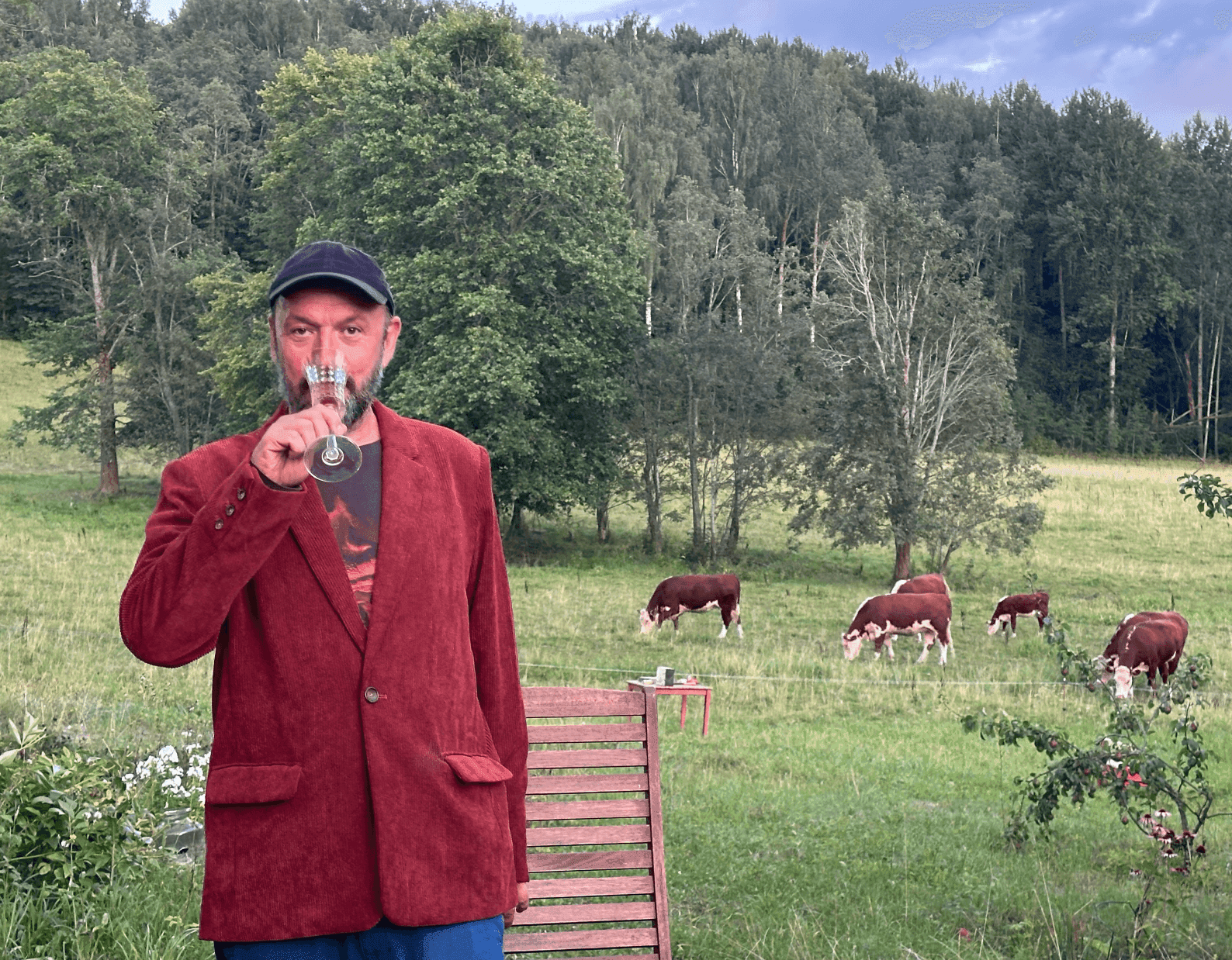 Hommik Rauliga
